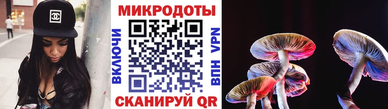 наркота Фёдоровский Псилоцибиновые грибы Magic Shrooms